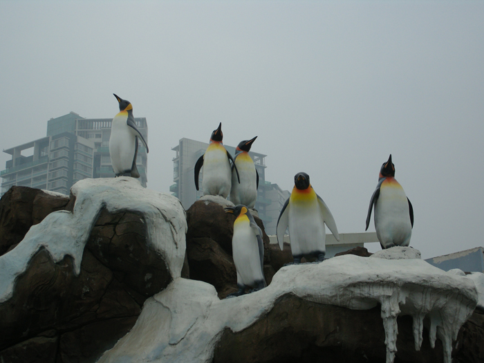2009年成都极地海洋世界