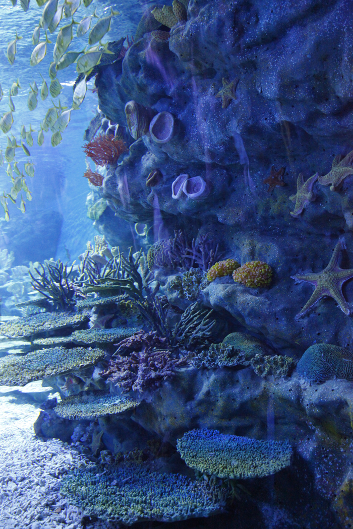 2010年武汉地海洋世界