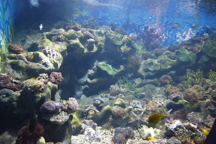 2010年武汉地海洋世界