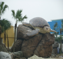 成都极地海洋世界