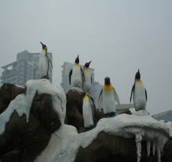 2009年成都极地海洋世界