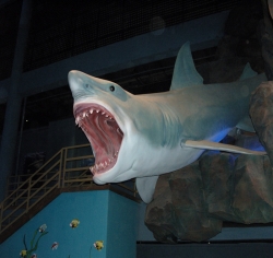 2009年成都极地海洋世界