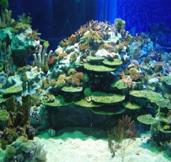 2009年成都极地海洋世界