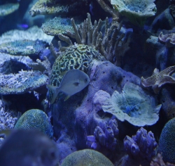 2010年武汉地海洋世界