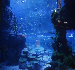 2010年武汉地海洋世界