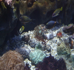 2010年武汉地海洋世界
