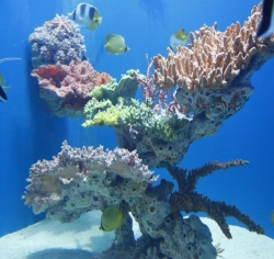2010年武汉地海洋世界