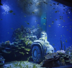 2010年武汉地海洋世界