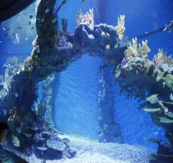2010年武汉地海洋世界