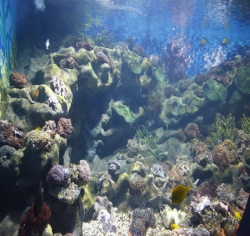 2010年武汉地海洋世界