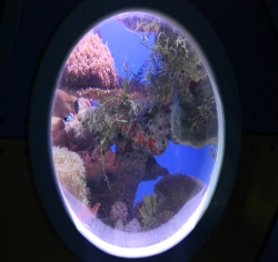 2010年武汉地海洋世界