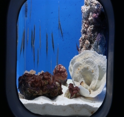2010年武汉地海洋世界