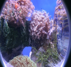 2010年武汉地海洋世界