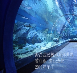 时下造景